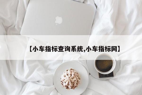【小车指标查询系统,小车指标网】