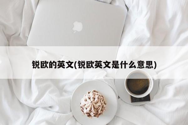 锐欧的英文(锐欧英文是什么意思)